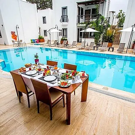 Modern Life Bodrum 5* 검벳
